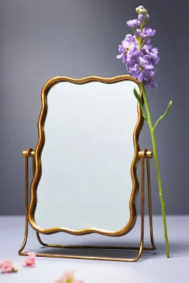 Coquille Vanity Mirror added by Spoak Member