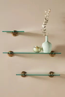 Nellie Shelf added by Spoak Member