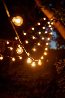 Stargazer Garden Lights Set of 21 Bulbs, Clear added by Spoak Member