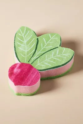 Fruit-Shaped Sponge added by Spoak Member