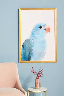 Blue Parrot Wall Art added by Spoak Member