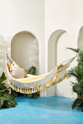Saratoga Hammock added by Spoak Member