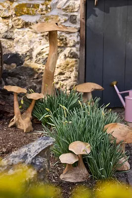 Teak Mushroom, Extra Tall added by Spoak Member