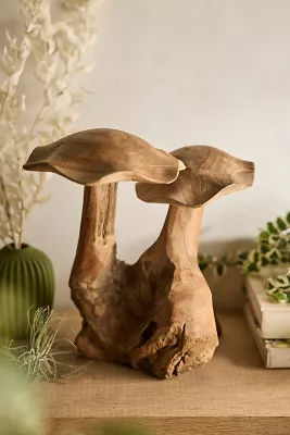 Teak Mushroom, Pair added by Spoak Member
