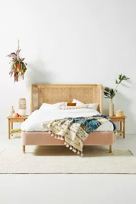 Heatherfield Primrose Valencia Velvet Bed added by Jillian Fiebelkorn