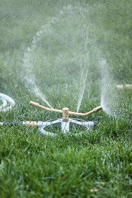 Brass Whirl Sprinkler added by Spoak Member