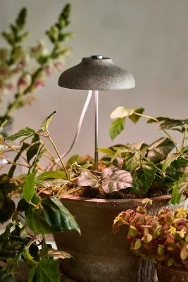 Adjustable Bamboo Grow Light added by Spoak Member