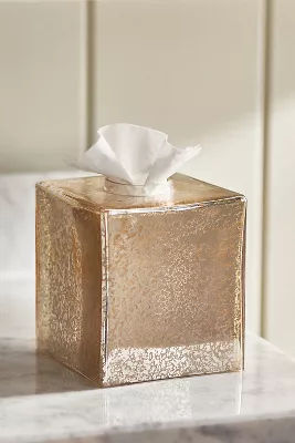 Vizcaya Tissue Holder added by Spoak Member