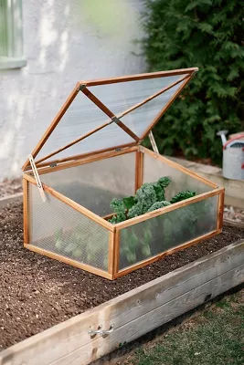 Teak Cold Frame Planter added by Spoak Member