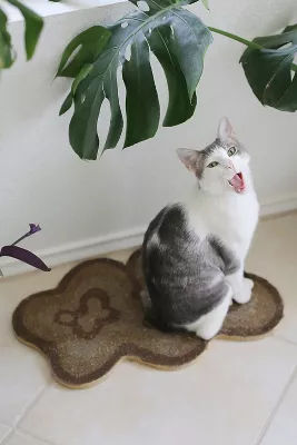 Catenary Bloom Cat Scratcher added by Spoak Member