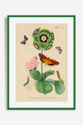 Flower Wall Art added by Spoak Member