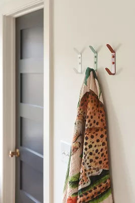 Powder-Coated Double Wall Hook added by Spoak Member