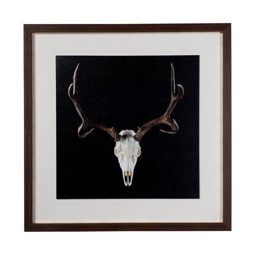 Deer Skull - SMALL added by CityHome DesignTeam