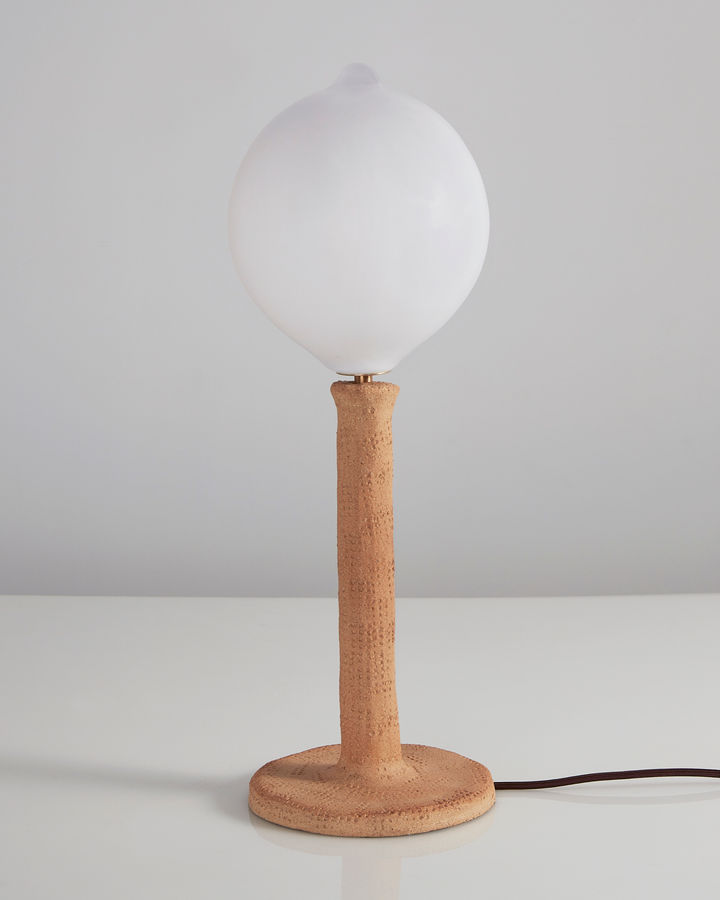 Pierre Yovanovitch, "Delight" Table Lamp. added by Spoak Member
